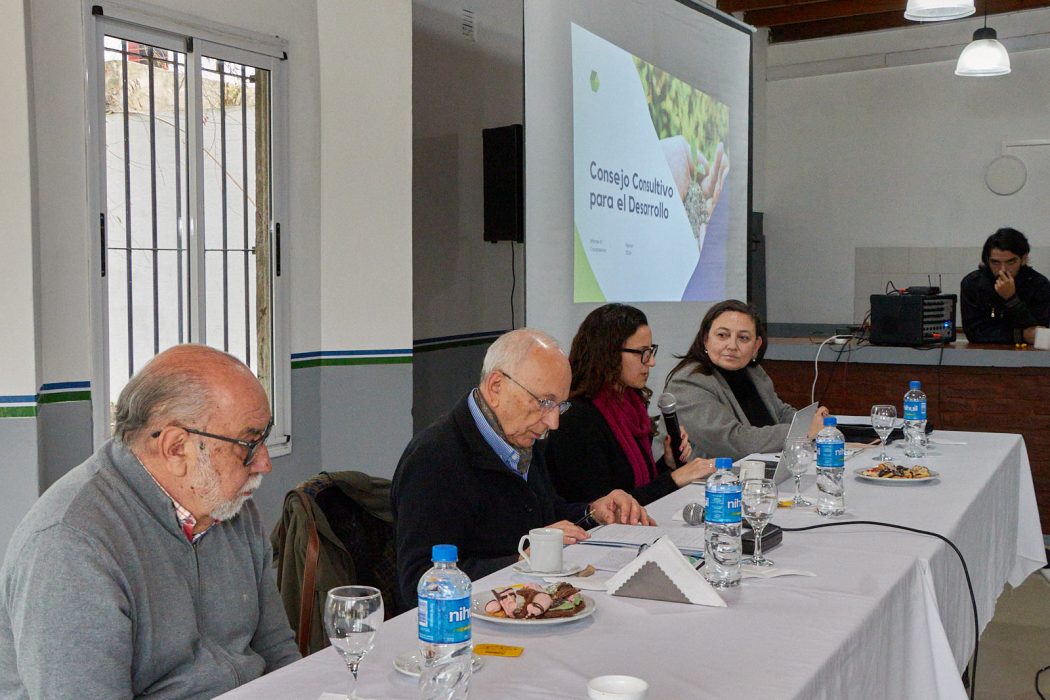 Nueva reunión del Consejo Consultivo con participación de la UCALP