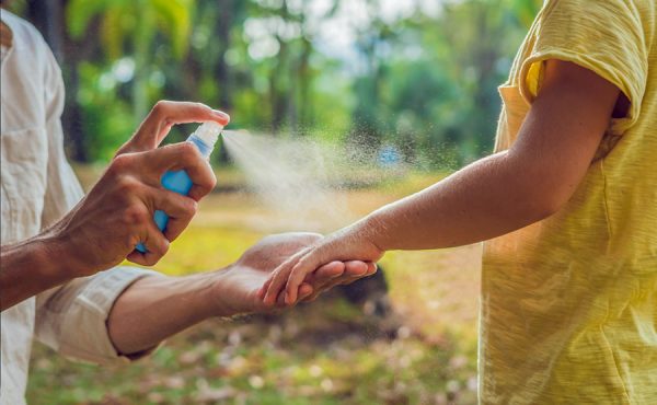 Las otras amenazas: zika, chikunguña y fiebre oropouche