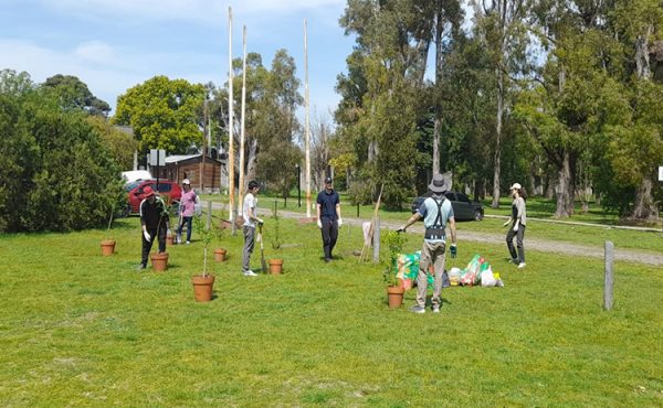 Plantan nuevos árboles en el Campo de Deportes de la UCALP