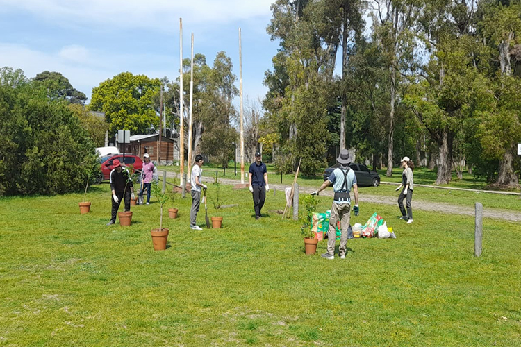 Plantan nuevos árboles en el Campo de Deportes de la UCALP
