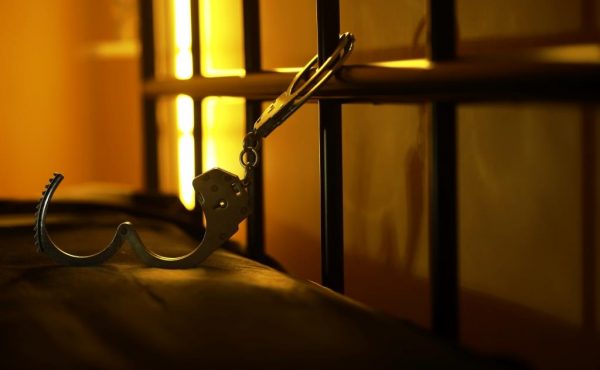 VIII Diplomatura Internacional en Derecho Penal. “Derecho penal y teoría del delito: una revisión a la luz de la teoría del caso”