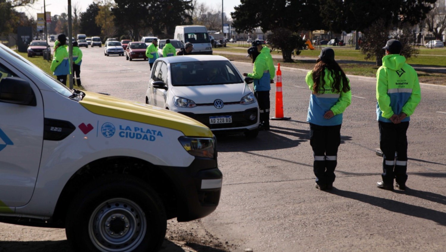 Nuevo curso sobre Educación y Seguridad Vial