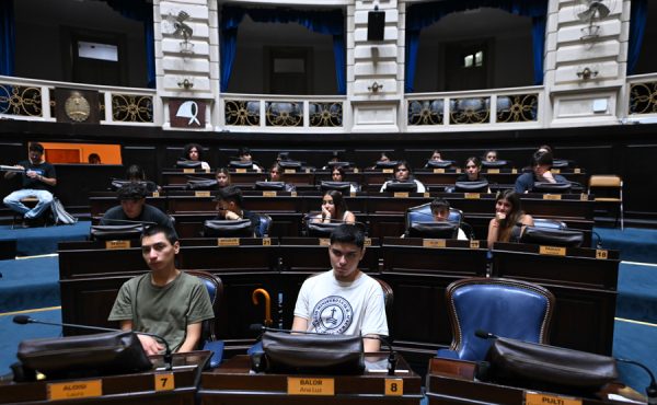 Alumnos del Mac Kay, en la Legislatura bonaerense