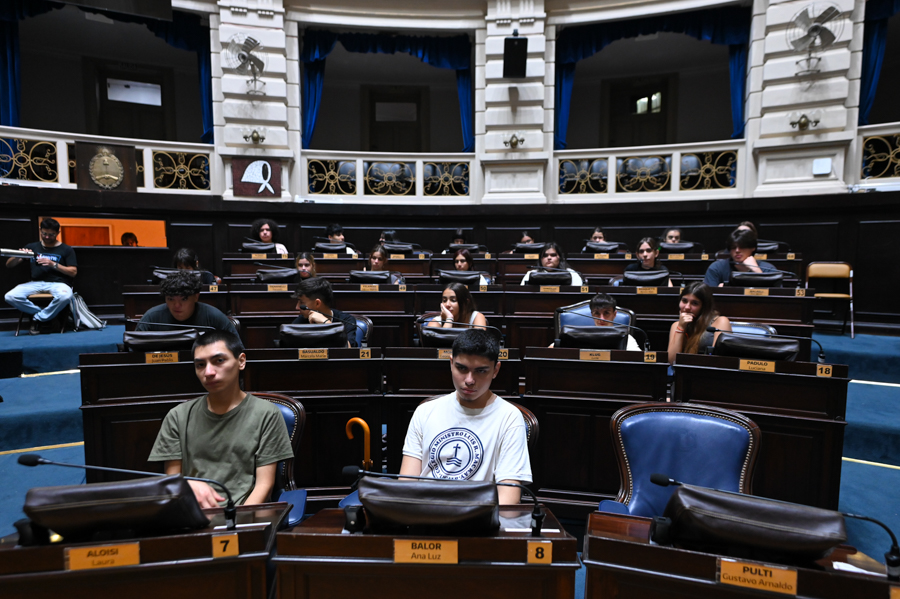 Alumnos del Mac Kay, en la Legislatura bonaerense
