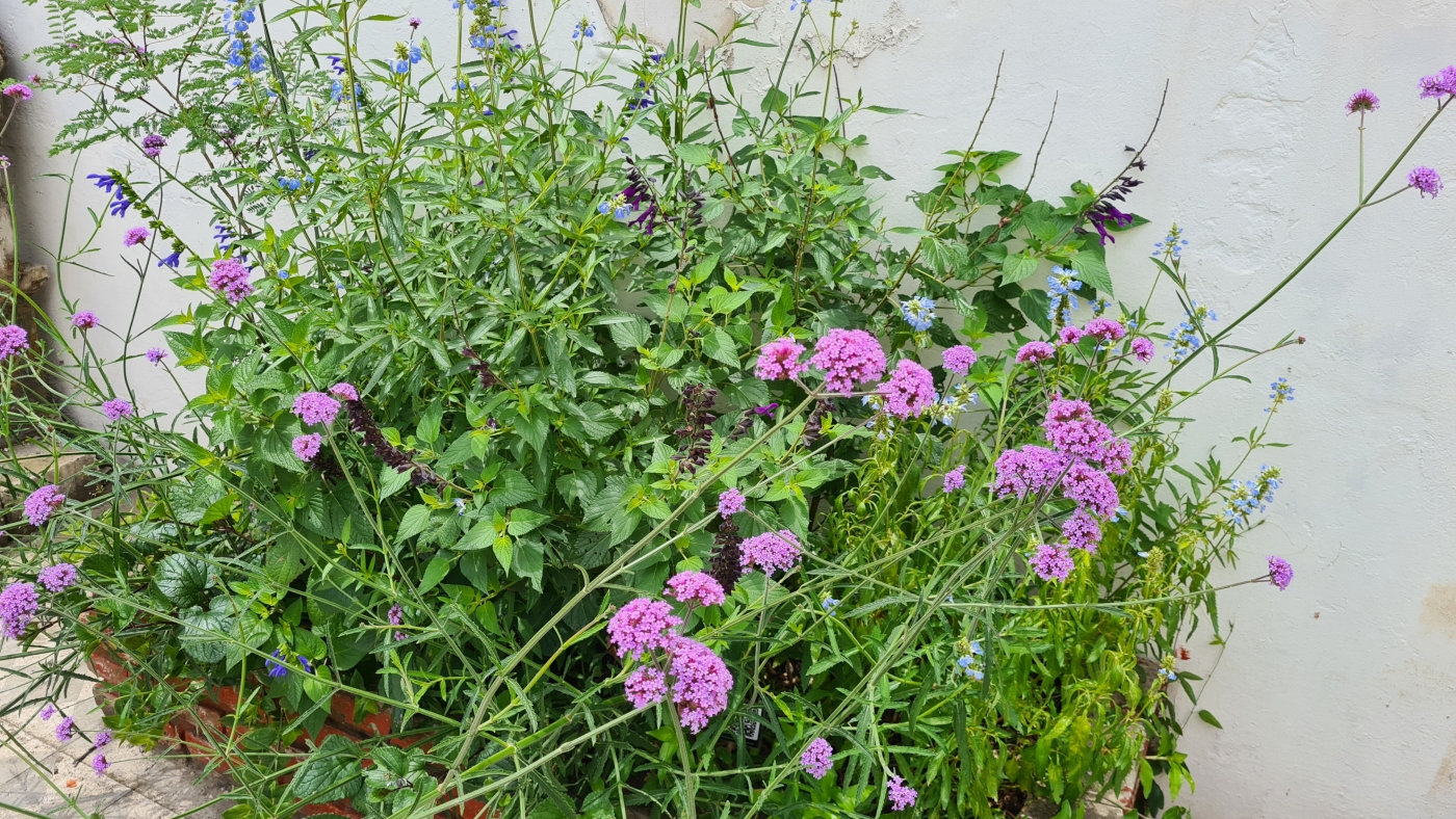 Investigador de la UCALP recibe el Premio a la Investigación Museológica Horacio Molina Pico