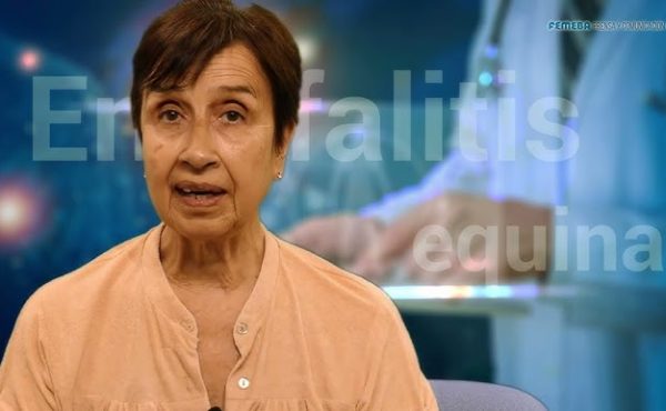 Con el calor refuerzan los consejos para combatir el dengue