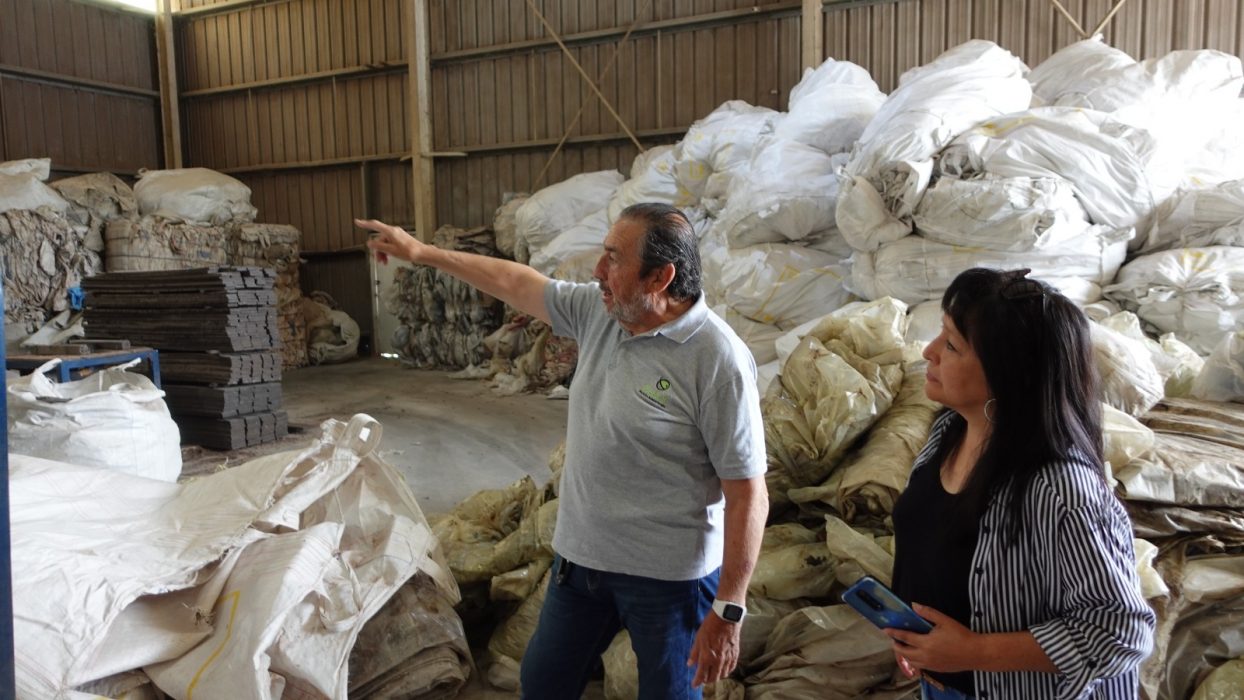 Universidad, pymes y sustentabilidad, una alianza clave para el futuro