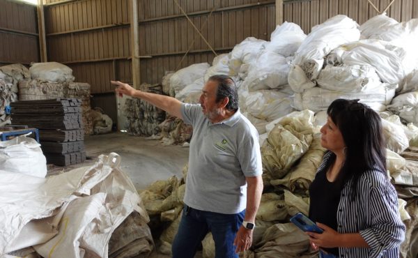 Universidad, pymes y sustentabilidad, una alianza clave para el futuro