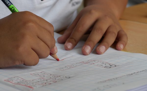 La UCALP y el Día Internacional de la Educación