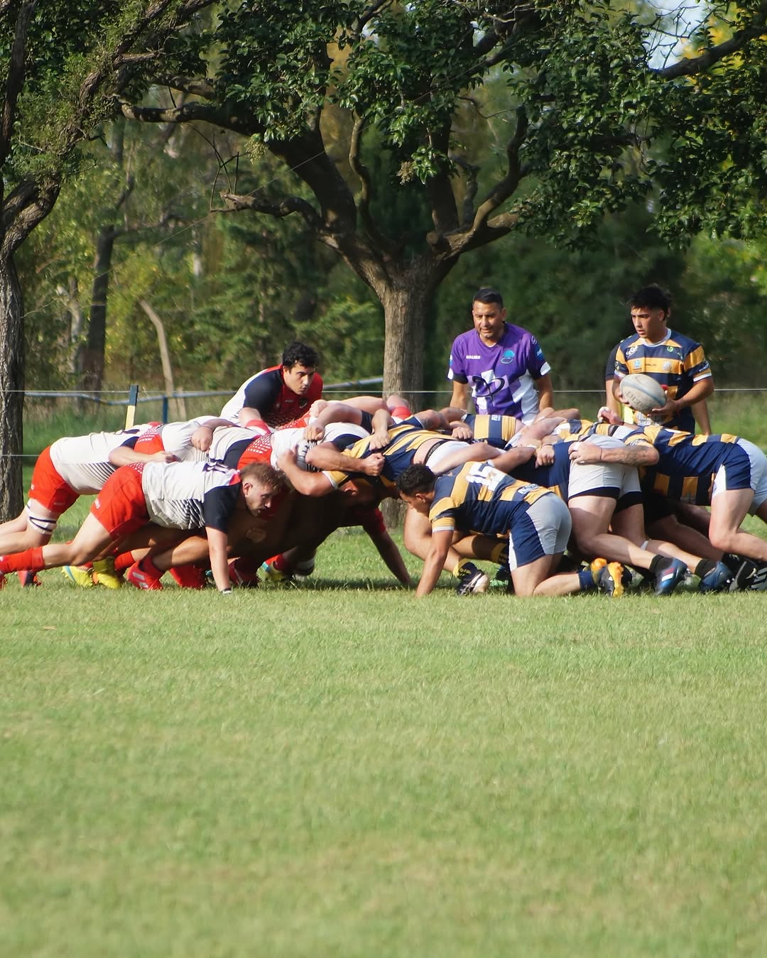 gira carlos casares rugby