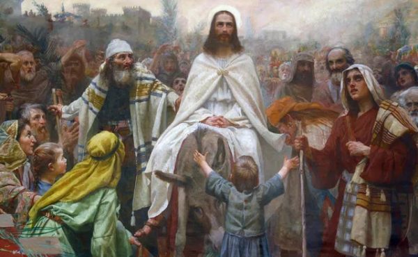 Renovar y crecer en esperanza