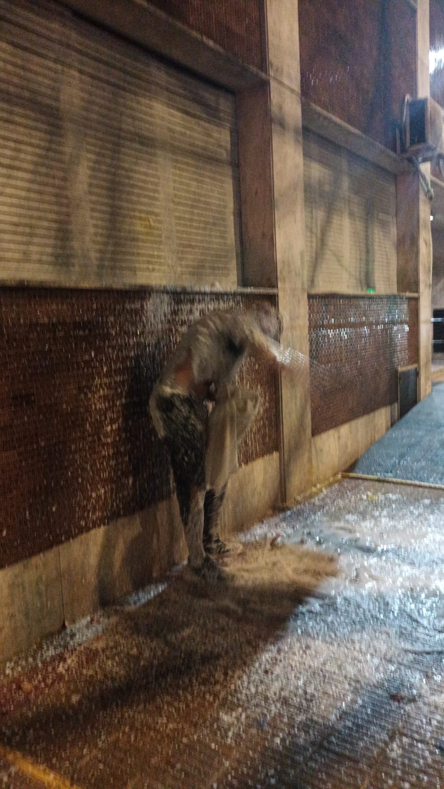 Festejar ayudando: los egresados de la UCALP sumaron su aporte solidario para Bahía Blanca