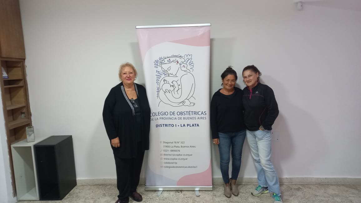 Caída de natalidad y cambios culturales: la opinión de obstetras de la UCALP