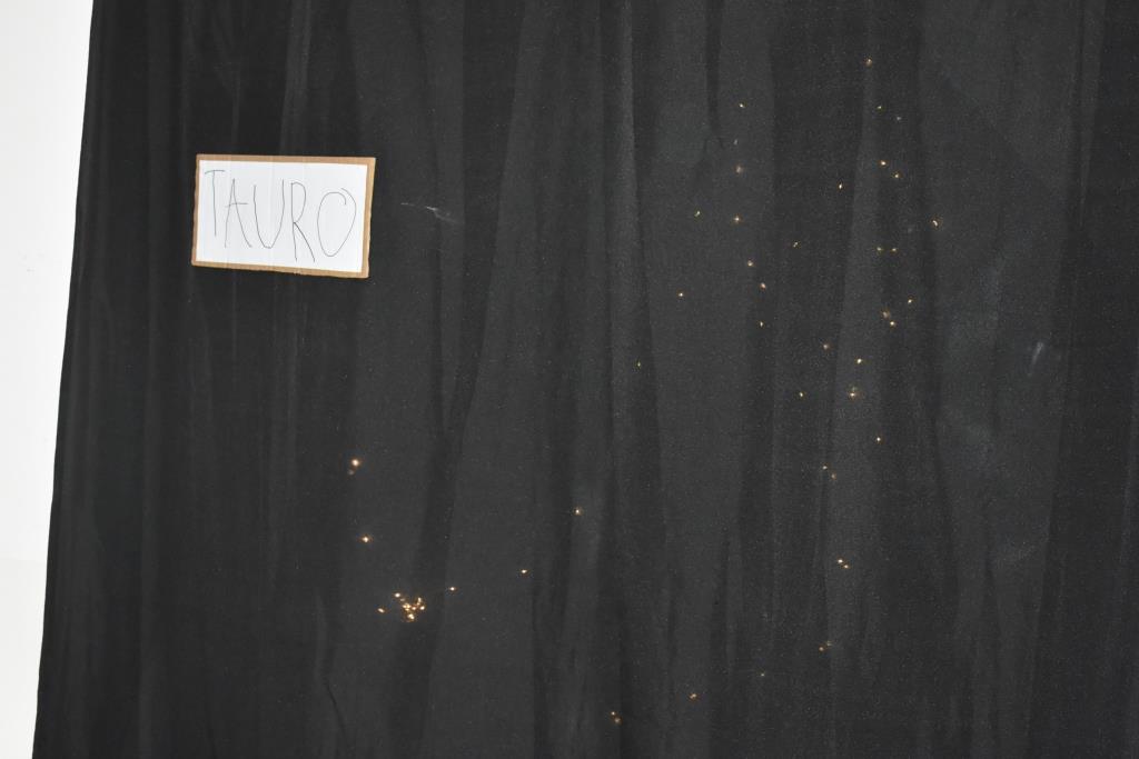 Los niños del Jardín Estrada compartieron su experiencia en el Planetario