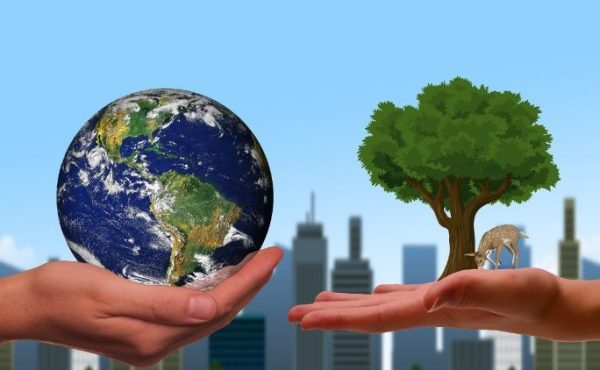 Día mundial del Medioambiente, un llamado a luchar por la justicia social y climática