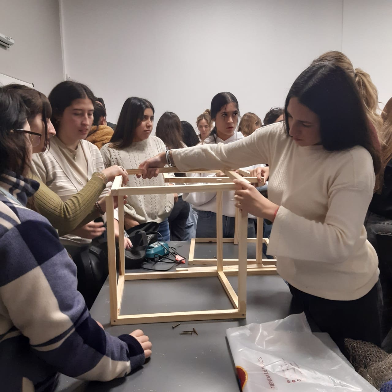 WhatsApp Image 2025-07-08 at 15.25.32