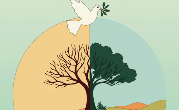 Tiempo de la Creación: sentir los clamores de la casa común