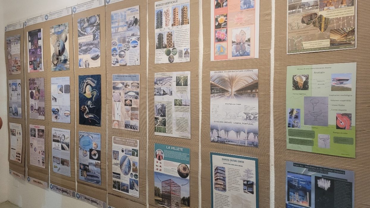 Arquitectura homenajeó a Frei Otto con una muestra en el Museo Beato Angélico (2)