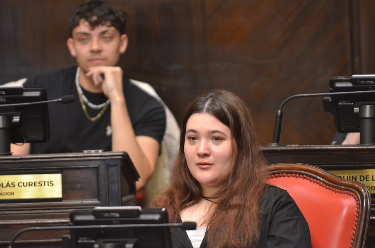 Estudiantes de Ciencia Política y Relaciones Internacionales visitaron la Legislatura bonaerense 
