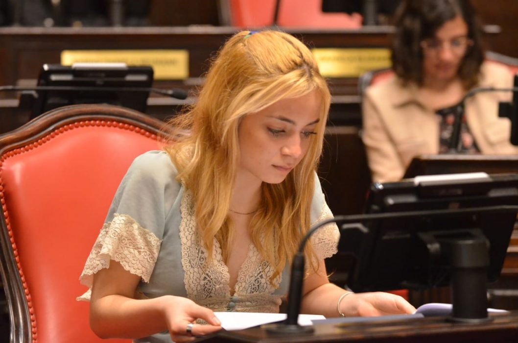 Estudiantes de Ciencia Política y Relaciones Internacionales visitaron la Legislatura bonaerense (9)