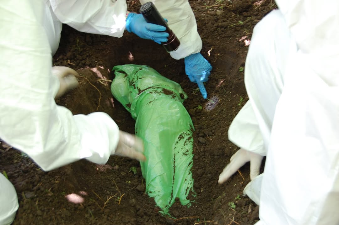 Taller criminalistica 1