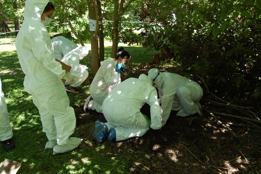 Taller criminalistica 2