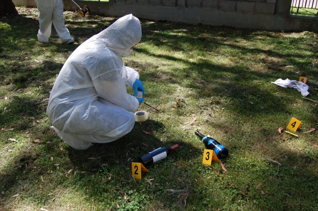 Taller criminalistica 3