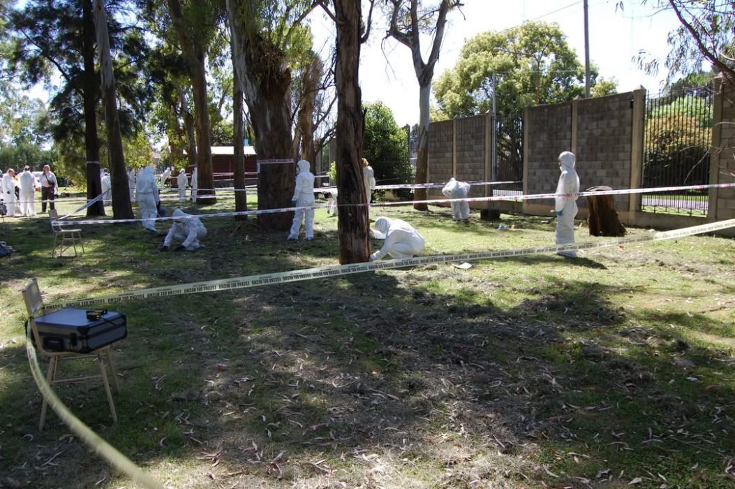 Taller criminalistica 4