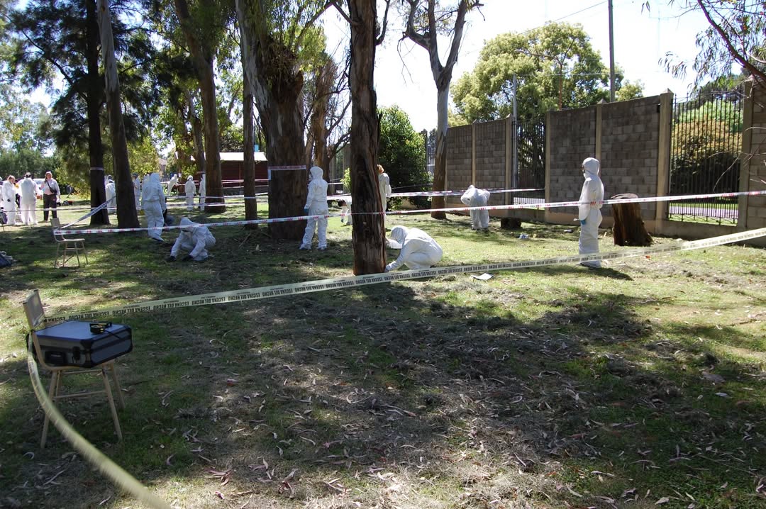 Taller criminalistica 4