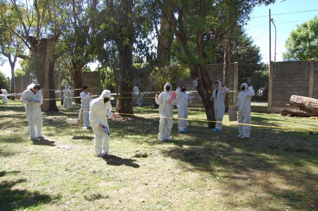 Taller criminalistica 5