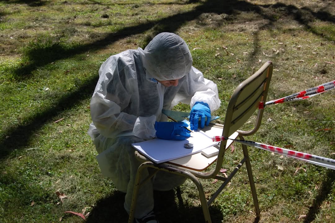 Taller criminalistica 6