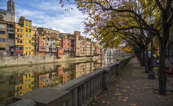 Becas y oportunidades de Campus Argentina Global