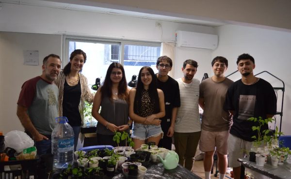 Avanzan con la nueva huerta de la Facultad de Arquitectura y Diseño