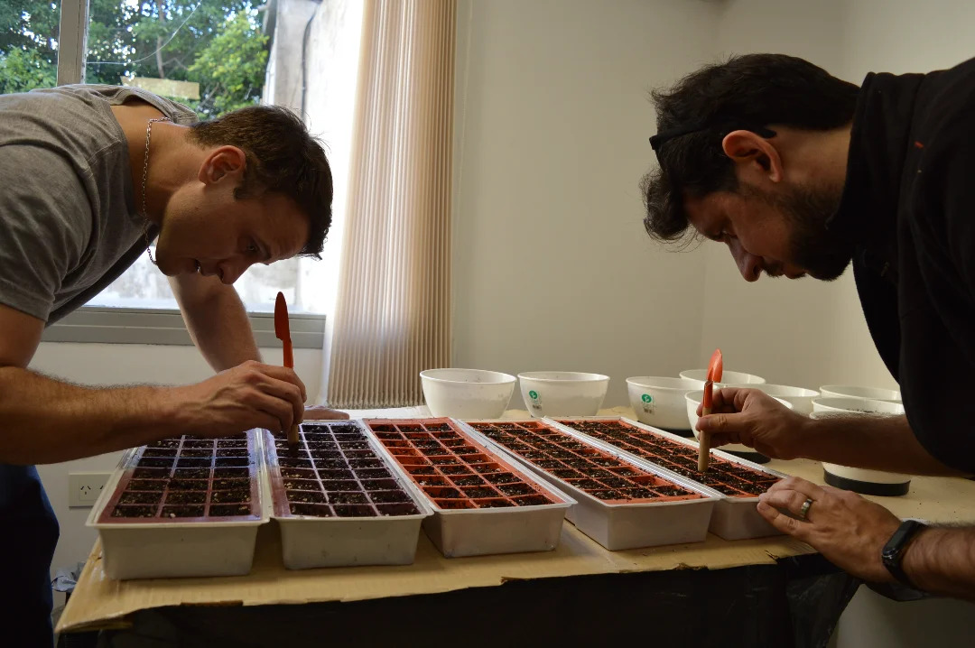 Avanzan los trabajos para la nueva huerta de la Facultad de Arquitectura y Diseño