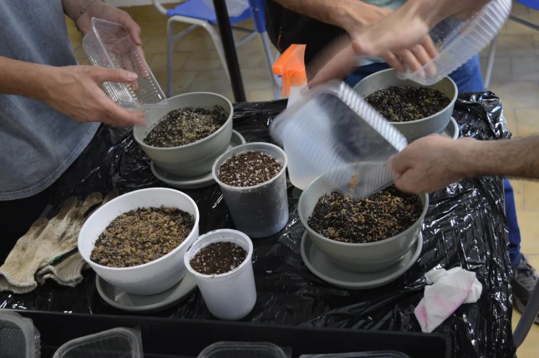 Avanzan los trabajos para la nueva huerta de la Facultad de Arquitectura y Diseño (13)