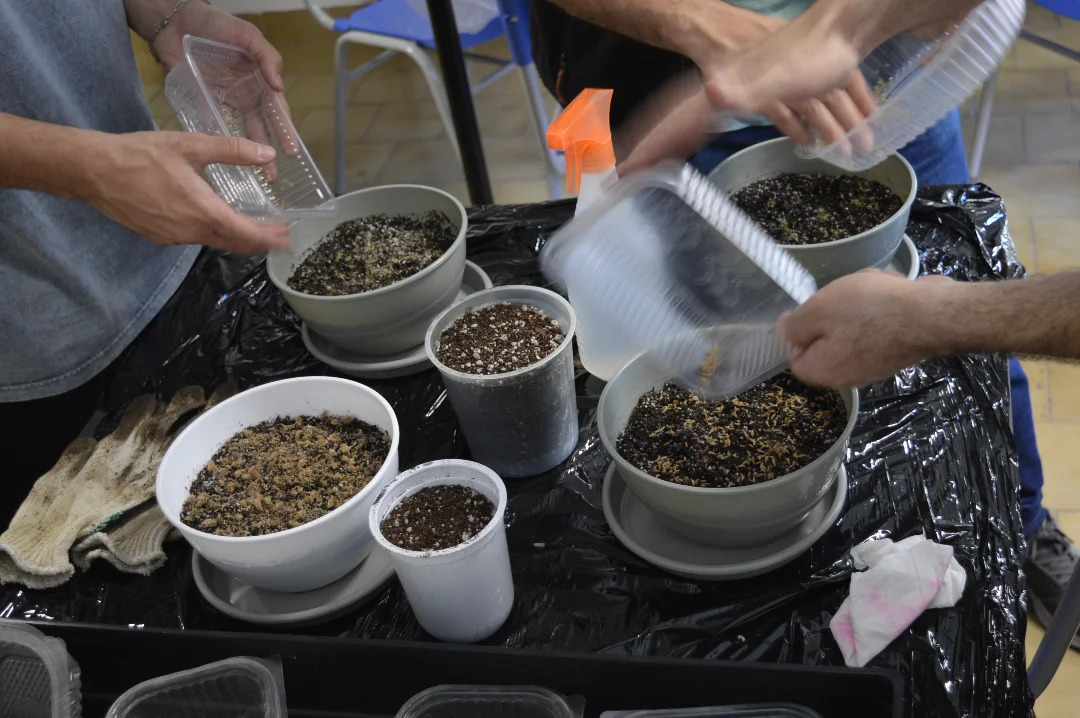 Avanzan los trabajos para la nueva huerta de la Facultad de Arquitectura y Diseño