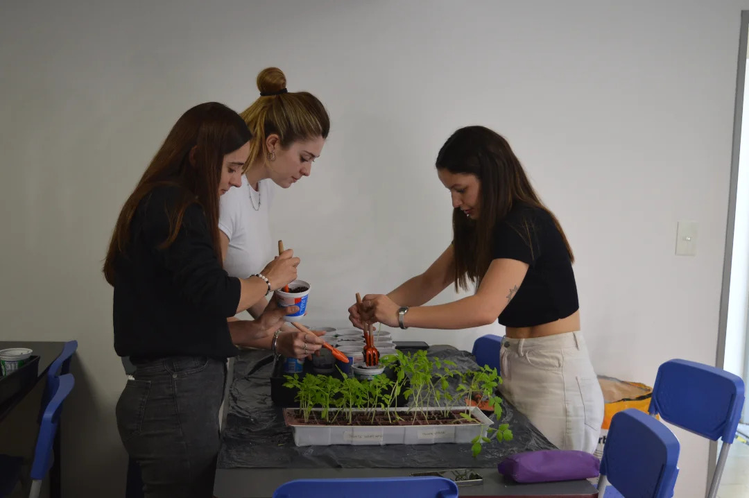 Avanzan los trabajos para la nueva huerta de la Facultad de Arquitectura y Diseño