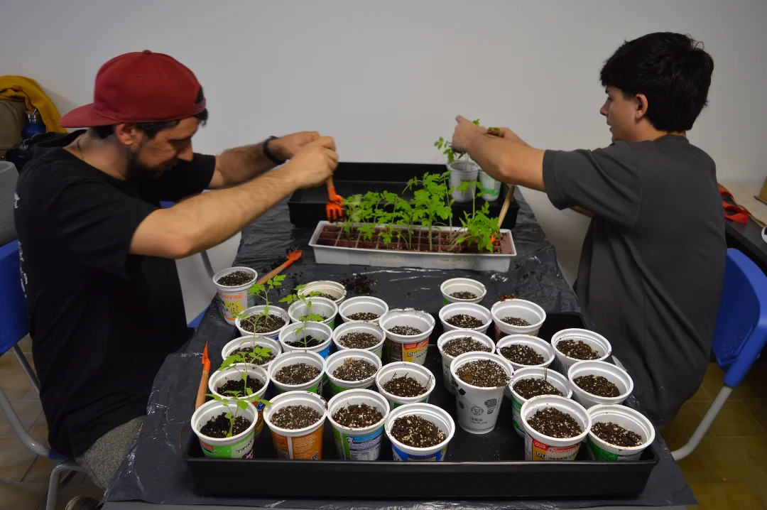 Avanzan los trabajos para la nueva huerta de la Facultad de Arquitectura y Diseño