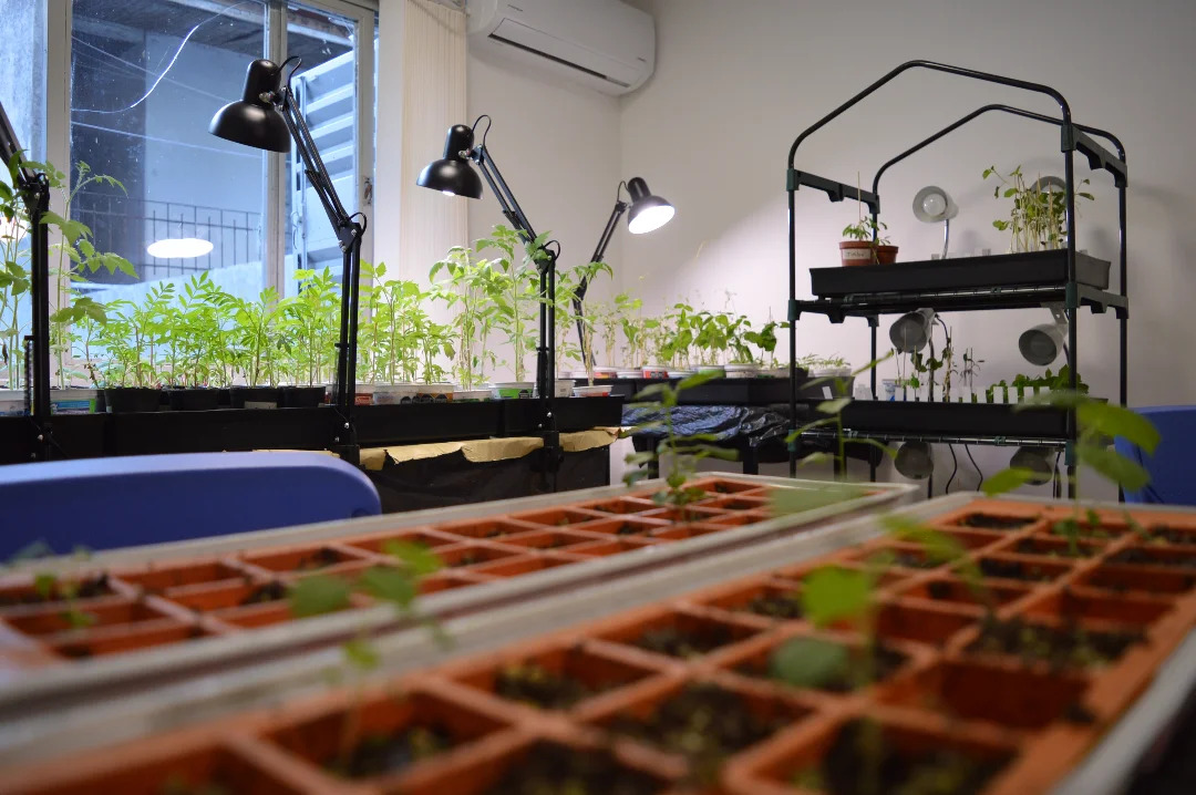 Avanzan los trabajos para la nueva huerta de la Facultad de Arquitectura y Diseño