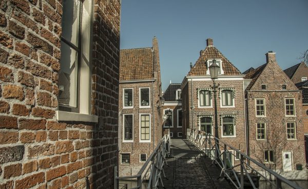 Nuevas propuestas y convocatorias de becas