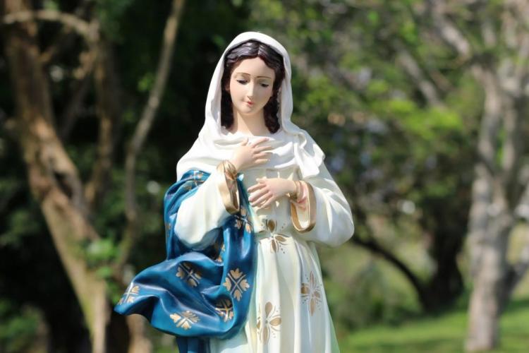 Se celebra la Solemnidad de la Inmaculada Concepción de la Santísima Virgen María