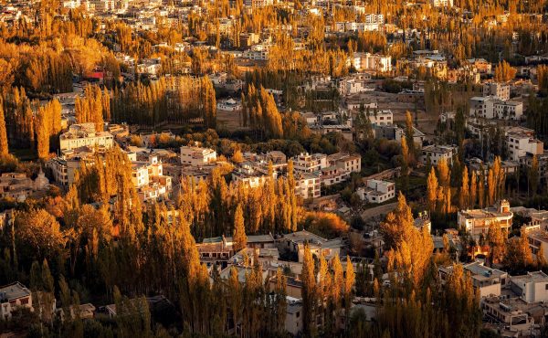 Nuevas propuestas de becas de Campus Argentina Global