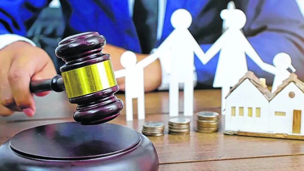 Reforma de la Ley 15.513: un paso hacia una justicia alimentaria más ágil en Buenos Aires