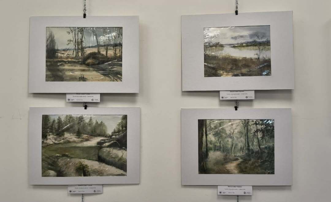 Foto muestra acuarelas