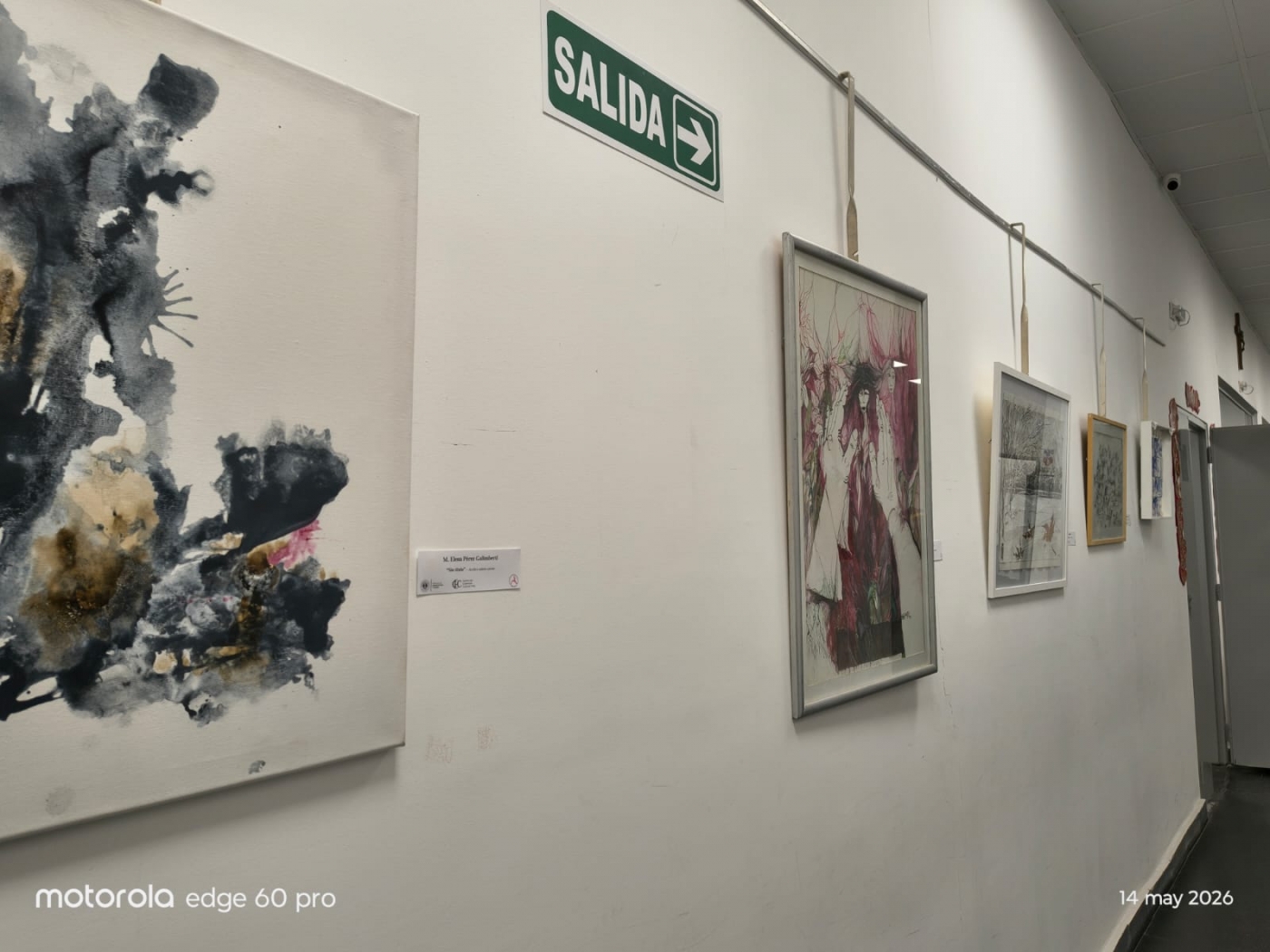 Muestra de arte en Arquitectura rinde homenaje al centenario de la Asociación de Artistas Plásticos