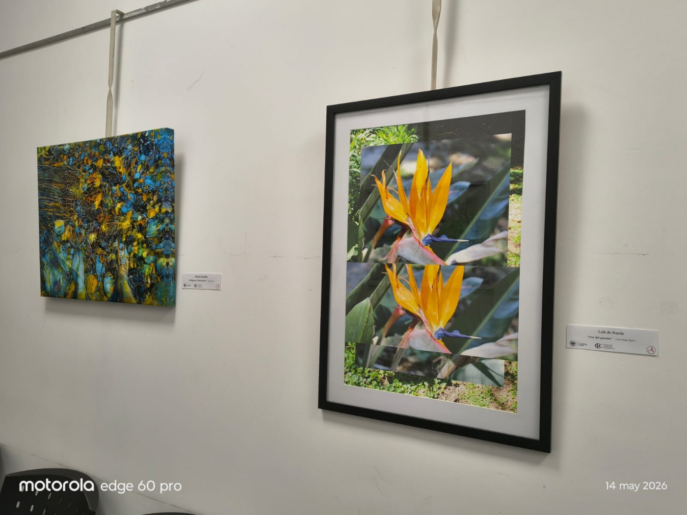 Muestra de arte en Arquitectura rinde homenaje al centenario de la Asociación de Artistas Plásticos