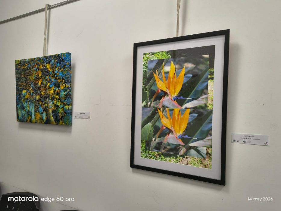 Muestra de arte en Arquitectura rinde homenaje al centenario de la Asociación de Artistas Plásticos (5)