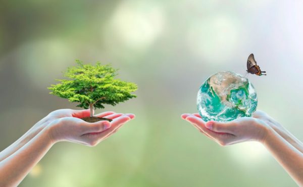 Día Mundial del Medio Ambiente: una invitación a repensar nuestra relación con la Casa Común