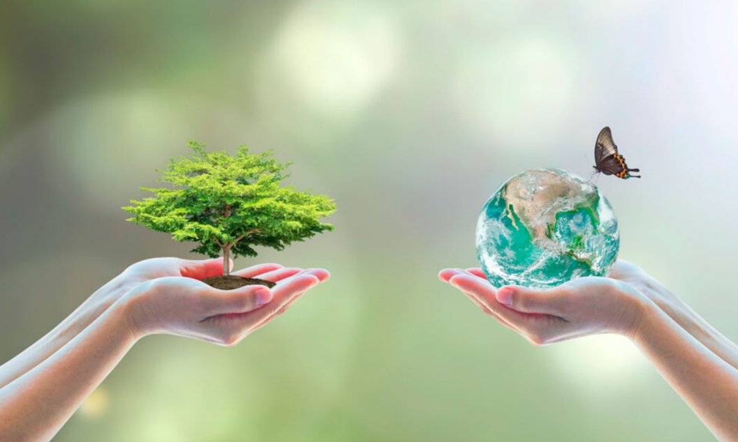 Día Mundial del Medio Ambiente: una invitación a repensar nuestra relación con la Casa Común