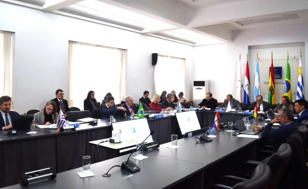 14 estudiantes de la UCALP preseleccionados para las pasantías de la UCIM – MERCOSUR 2026